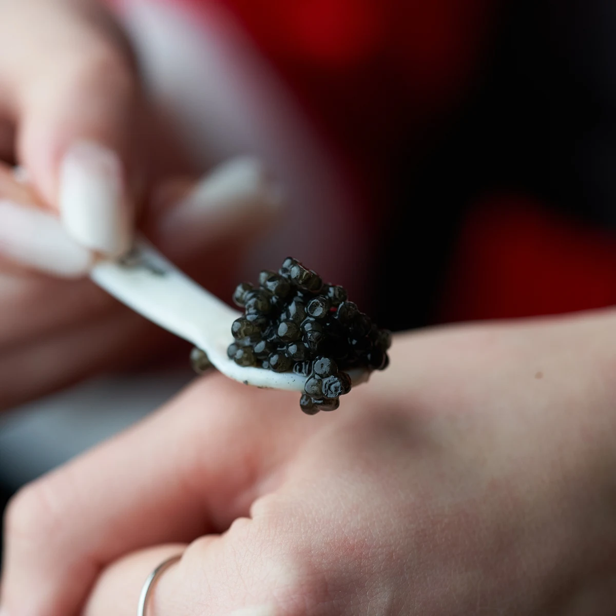 Beluga Caviar