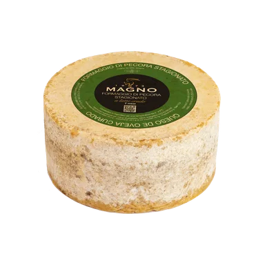 Iberian Sheep Cheese with Pata Negra Iberian Sheep Cheese with Pata Negra