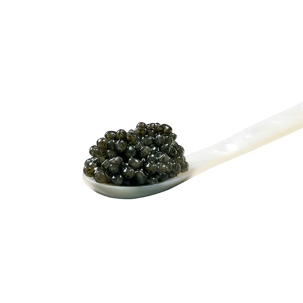 Beluga Caviar