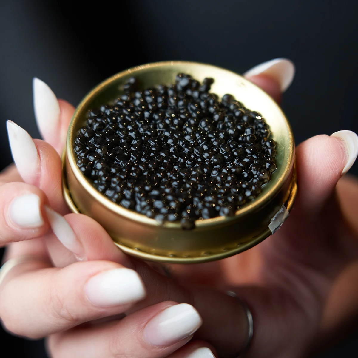 Beluga Caviar